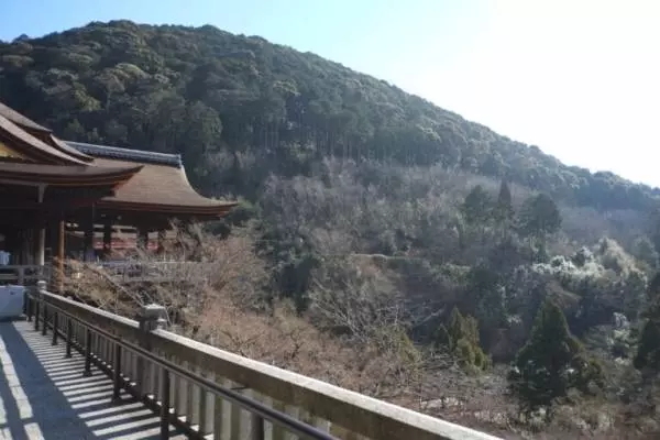 京都 大改修が完了した 清水寺 へ 清水の舞台 の素晴らしさを改めて実感 E レシピ 料理のプロが作る簡単レシピ 1 3ページ