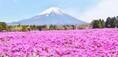 【山梨】ドライブに最適！富士山の絶景が眺められるスポット5選。