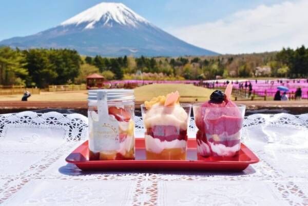【山梨】ドライブに最適！富士山の絶景が眺められるスポット5選。