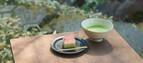 【鎌倉】美しい庭園でお茶を味わう、国指定重要文化財〈一条恵観山荘〉へ。