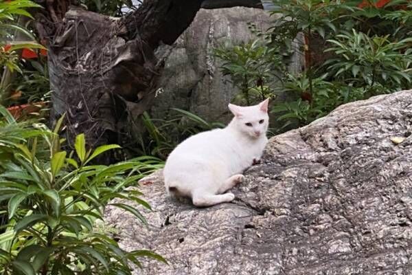 22年 30代女性が行っておきたい神社は 恋愛運 を高めてくれる神社とお寺4選 22年1月2日 ウーマンエキサイト 3 4