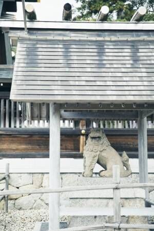【京都】海を渡って〈籠神社〉へ。宮津・天橋立のたもとで元伊勢として名を馳せる。