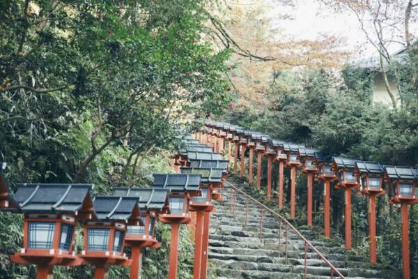 水の神のお告げ？【京都】心に響く水占みくじが人気の〈貴布禰総本宮 貴船神社〉へ。