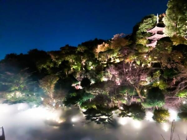 〈ホテル椿山荘東京〉「森のオーロラ」で幻想的なひとときを体験。
