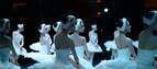 『白鳥の湖』の舞台裏に潜入！〈東京バレエ団〉の輝くダンサーを紹介します。【バレリーナ金子仁美のきれいなカラダのつくり方】