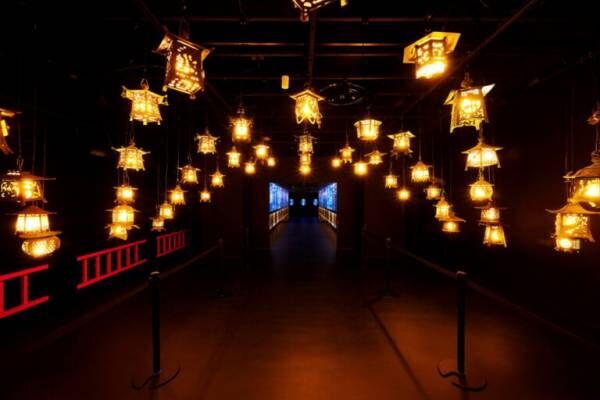 進化した〈アートアクアリウム美術館 GINZA〉が銀座にオープン。日本の伝統美が光る幻想的な非日常空間へ。