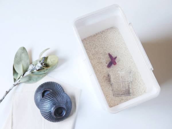 袋ごと保存できるスタイリッシュな米びつ[PR]