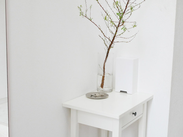 強力マグネットで玄関に簡単取り付け！2wayマスク収納ケース[PR]