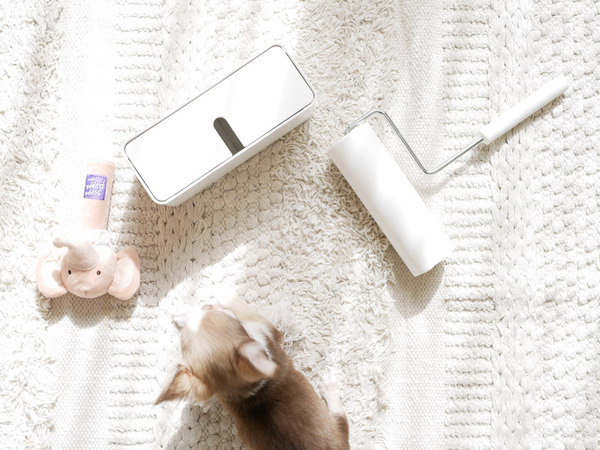 「こんなの欲しかった！」を叶えるコロコロクリーナー[PR]