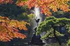 東京・日比谷公園の紅葉が見頃！ 一緒に立ち寄りたい周辺のおすすめグルメ