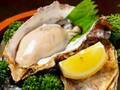 濃厚な旨みあふれる牡蠣が堪能できるお店5選｜大阪