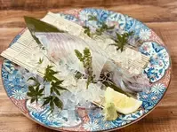 博多・中洲の特等席｜おひとり様も大歓迎！ カウンターで楽しむ地元名店のカジュアルグルメ5選