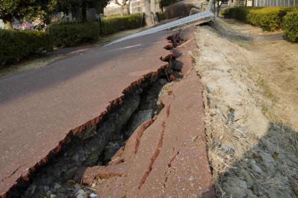発達障害の私が、「障害者」として生きることを決意するまで