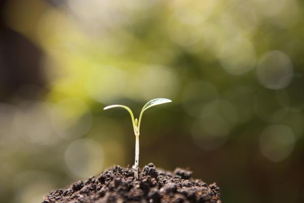 発達障害者支援センターってどんな場所？利用方法とサービス内容、専門機関との連携は？