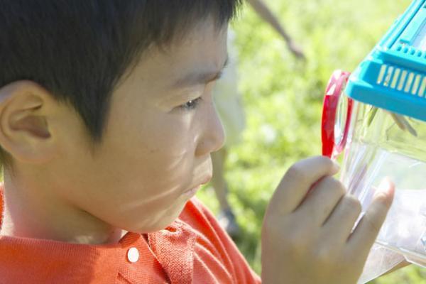 気分屋な子どもに芽生えた少しの興味、どう学びにつなげる？
