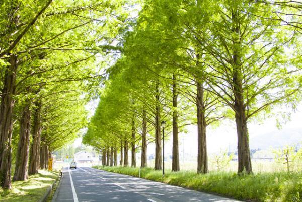 知的障害を描くおススメ映画6選！涙の感動作からコメディー映画までご紹介します！