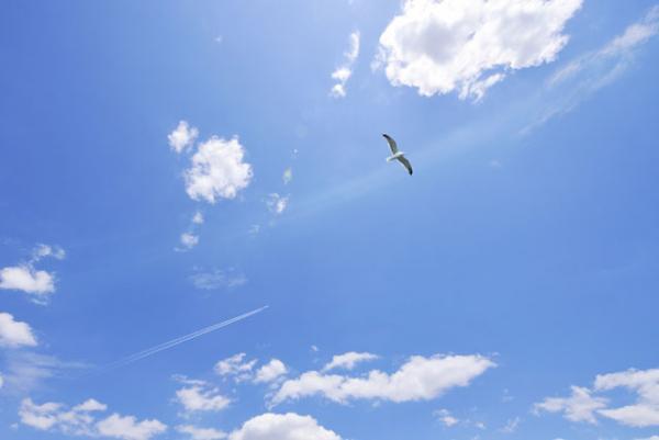 知ってよかった！頭の良さや覚え方に関係する「認知特性」の話