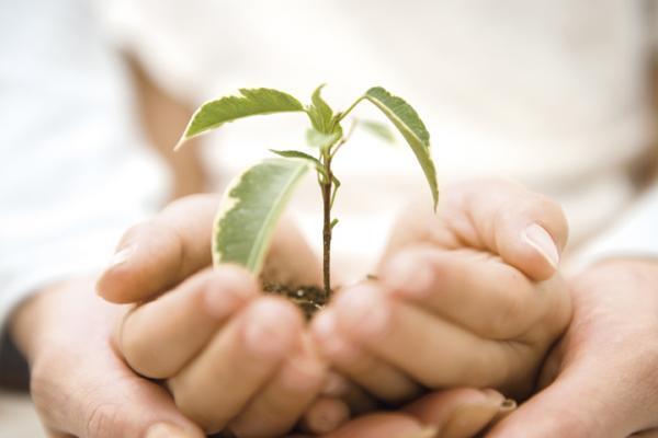 夜尿症とは？おねしょとは違うの？発達障害との関係は？原因や対処法、治療について紹介します