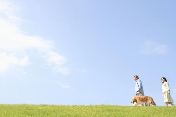 自閉症スペクトラム障害とは？年代別の特徴や検査方法、治療法を紹介します！