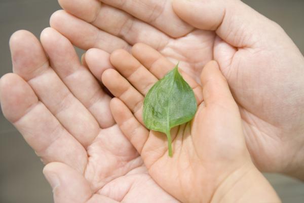 自閉症スペクトラム障害とは？年代別の特徴や検査方法、治療法を紹介します！