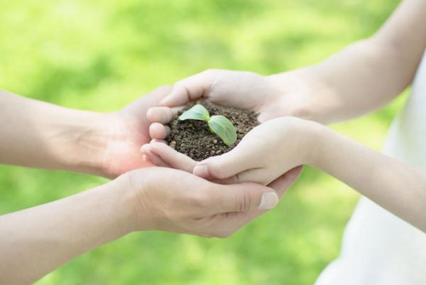 自閉症で知的な遅れがある息子、何歳まで女湯につれていけるのか