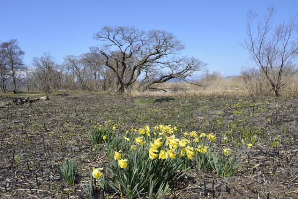 「障害者雇用で働く」決意。自分を知ることに終わりはないと気づいて