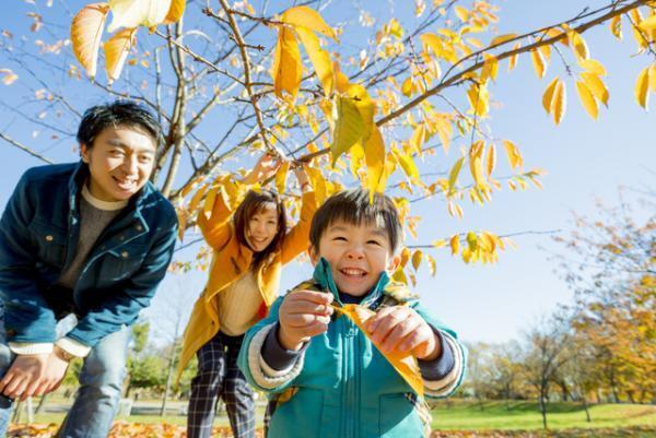 発達障害児の子育てに、父親は役立たず？キャンプ場で見たおやじの底力