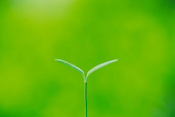 赤ちゃんの喃語（なんご）とは？いつから出るの？喃語が出ない、遅いときの原因、工夫、相談先まとめ