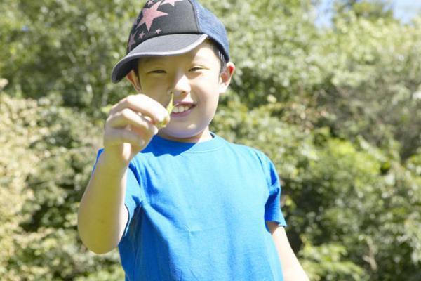 不眠症に苦しむ息子。大好きなテレビとの付き合い方を親子で考えた