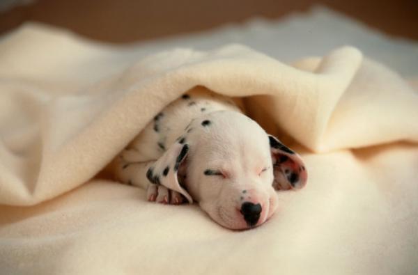 やっぱり親子！アスペルガー娘に、持ち物に触れるとキレる理由を聞いてみた