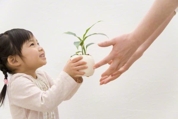 発達障害の検査。子どもに「診断名をつけること」は目的じゃない