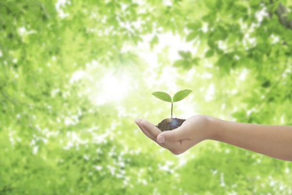 何度注意しても減らない学校でのトラブル、子どものせいだと思ってた…