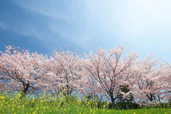 小4から始まった娘へのいじめ。学校へ向かうその背中はとても寂しそうで…