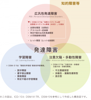 発達障害の診断 検査方法は 診断 検査は受けるべき 発症年齢や検査 診断の方法を詳しく紹介します 17年2月28日 ウーマンエキサイト 1 7