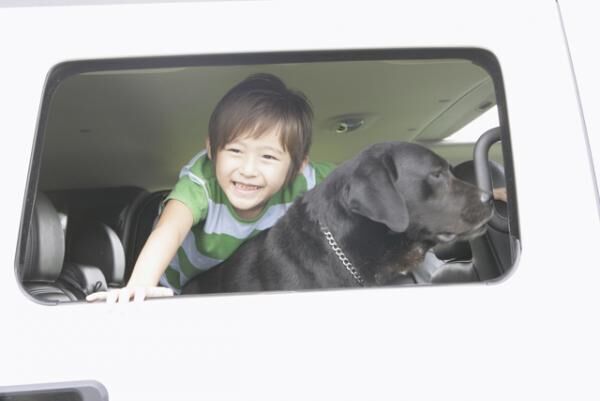 「自閉症児向け介助犬」日本にも広めたい、その多彩な役割とは？の画像