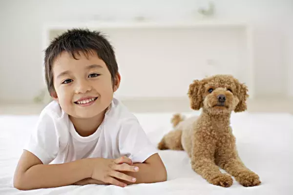 「自閉症児向け介助犬」日本にも広めたい、その多彩な役割とは？の画像