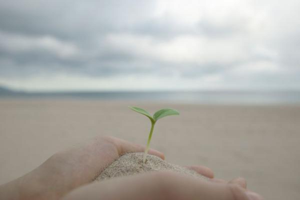 ソーシャルスキルトレーニング（SST）とは？支援の対象、方法、気をつけたいポイントについて