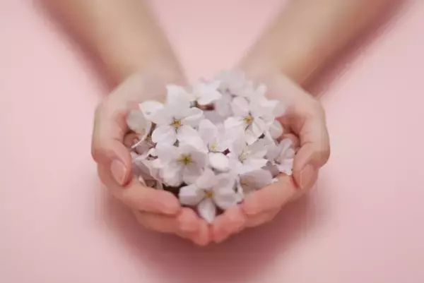 森田療法とは？受診方法や具体的な治療法（入院・通院）は？森田療法の「あるがまま」という考え方について