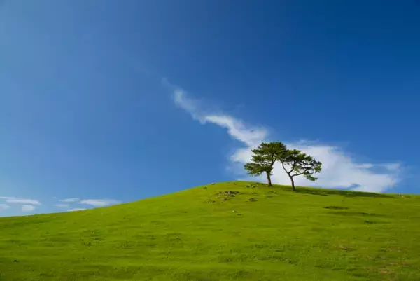 森田療法とは？受診方法や具体的な治療法（入院・通院）は？森田療法の「あるがまま」という考え方について