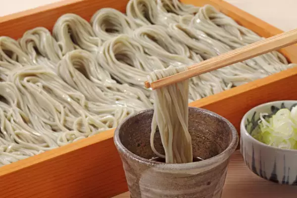 角砂糖でカロリー補給をする息子、我が家の偏食との向き合い方