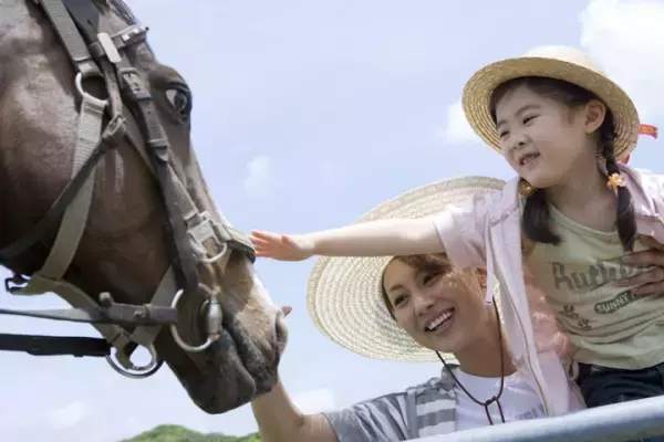 「発達障害は治る！?」ネットの情報に翻弄された私の、2つの失敗