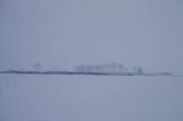 「障害」という表記は変えるべき？残すべき？皆さんはどう思いますか？