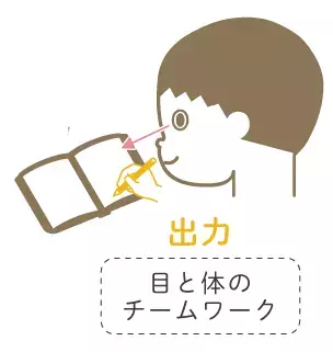 視空間認知って？「見る」ことのメカニズム・検査・強化するトレーニング法、発達障害との関連について