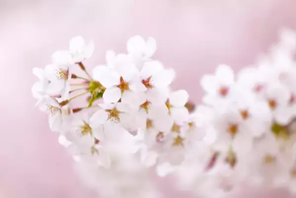 支援学校で息子が習った「働く」意味。その内容にショックを隠せず…