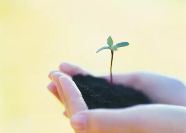 自分を好きでいられれば世界を肯定的に見られる。うちの子専門家・楽々かあさんが伝えたい「今が100点」