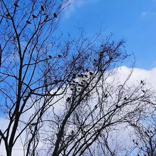 苦難も感動もない、平凡な「発達障害トーク」があっても、いいんじゃないかなって