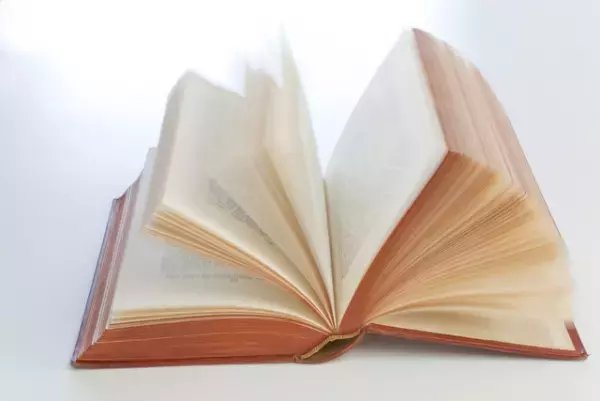 ノーマライゼーションとは？ノーマライゼーションの歴史や時代背景、身近な例を紹介します！