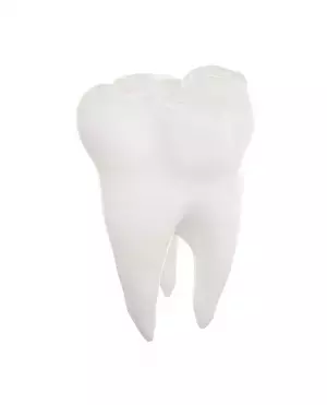 歯が抜けるなんて絶対いやだ！そんな長男の成長を待ってくれた「乳歯」