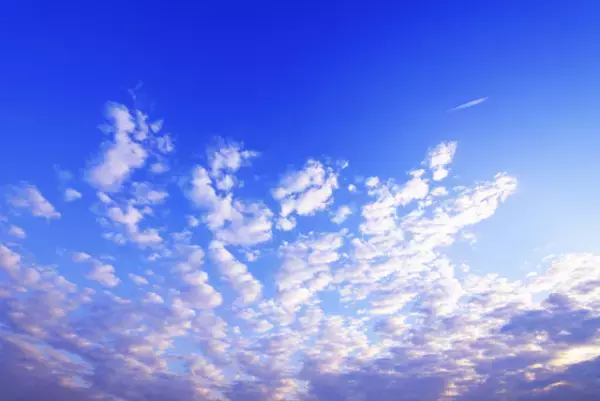 我が家に授かった第3子。すでに障害児2人を育てる母の所信表明