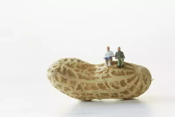 知的障害のある人が利用できる年金制度、障害年金。種類と等級、受給要件、申請方法などを解説します